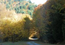 DIN NOU PRIN PARCURILE NAŢIONALE DE PE JIUL DE SUS