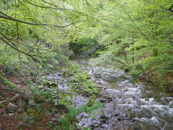 Din nou spre Bordul Dobriţei Gorjene