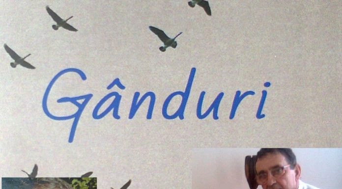 Gânduri pentru luna lui…Cuptor!