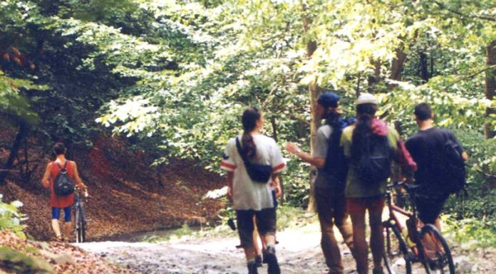 Muntele și teribilismul