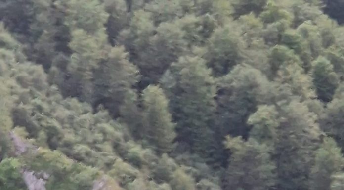 FOTO/VIDEO| Sute de turiști blocați în munte! Salvamont Gorj este acolo