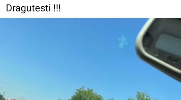 Drăguțești: TIR ajuns în șanț. A intrat și-n gardul unei curți