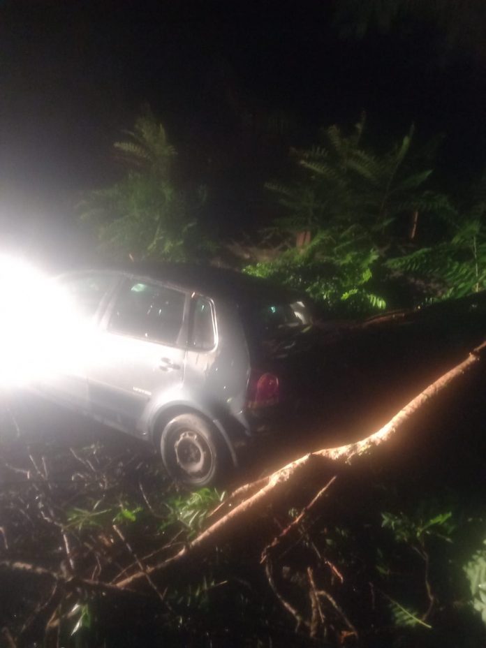 Targu Jiu, cartier 9 Mai, FOTO: Luneta unei mașini, străpunsă de un copac