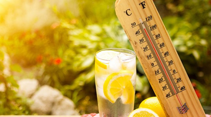 Medic: Riscurile la care este expus organismul în perioadele de caniculă