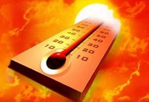 DSP Gorj: Măsuri de protecție în perioadele de caniculă