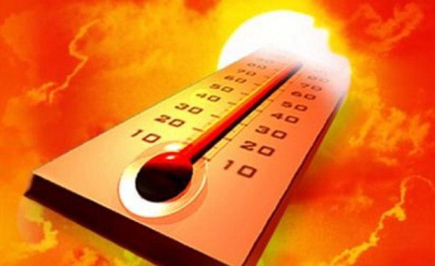 Gorjul, cod galben de caniculă