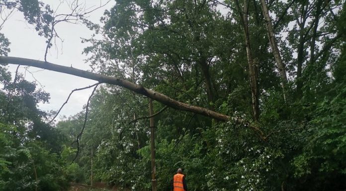 Trenuri cu întărzieri de peste 5 ore din cauza furtunilor