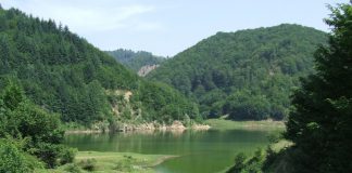 Din nou prin Lumea de Piatră a Jiului de Sus (2)