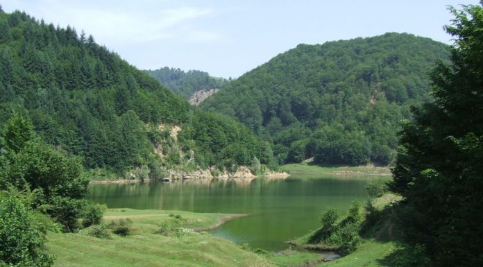 Din nou prin Lumea de Piatră a Jiului de Sus (2)