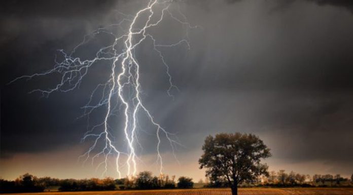 Încă un cioban trăsnit de fulger!