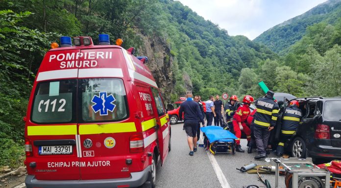 Accident în Defileul Jiului