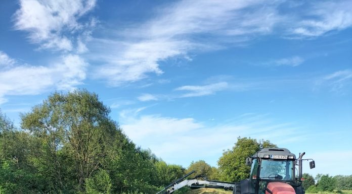 Lucrări de întreținere a digurilor din Gorj