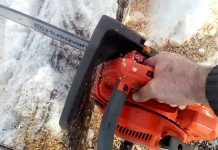 Rogojel: Accident în pădure. Arborele tăiat a căzut peste el