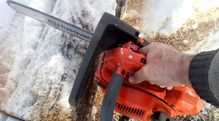 Rogojel: Accident în pădure. Arborele tăiat a căzut peste el