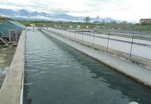 Fermierii din acvacultură ies în stradă