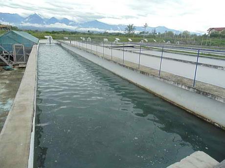 Fermierii din acvacultură ies în stradă