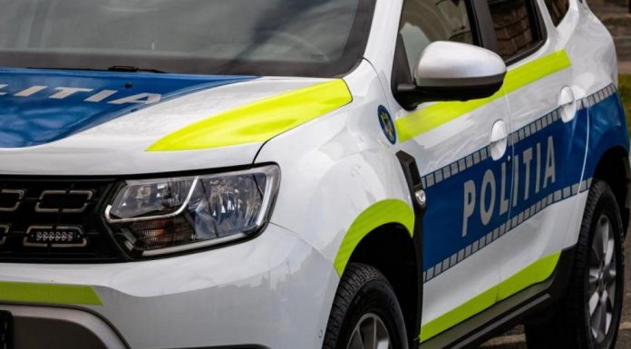 Au furat o mașină și au plecat la plimbare. Urmăriți de poliție, au fugit în pădure!