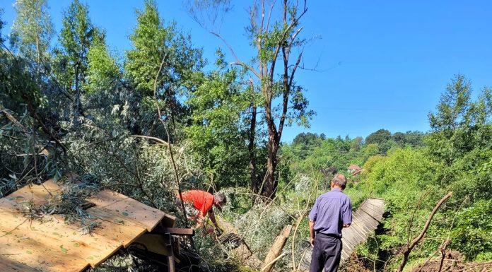 Glogova: Copaci smulși din rădăcini, punte pietonală impracticabilă