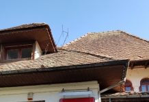 DRAGĂ ,,GORJANULE” !