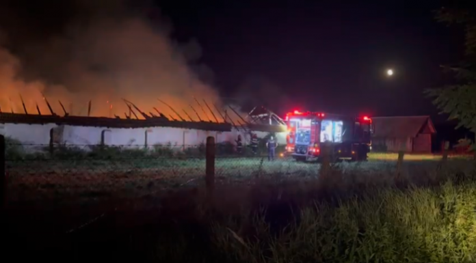 VIDEO| Urechești: Incendiu lichidat azi-noapte. A ars magazia dintr-o gospodărie