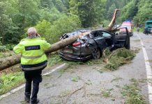 Copac căzut peste o mașină, pe Transalpina. O femeie a murit!