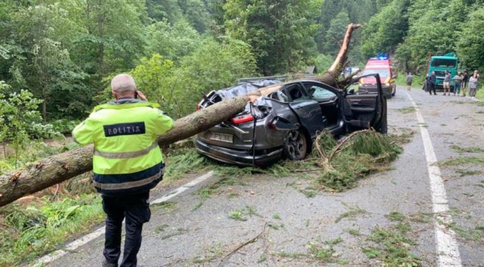 Copac căzut peste o mașină, pe Transalpina. O femeie a murit!