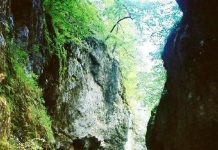 Natura și spiritul muntelui !