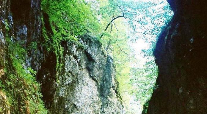 Natura și spiritul muntelui !