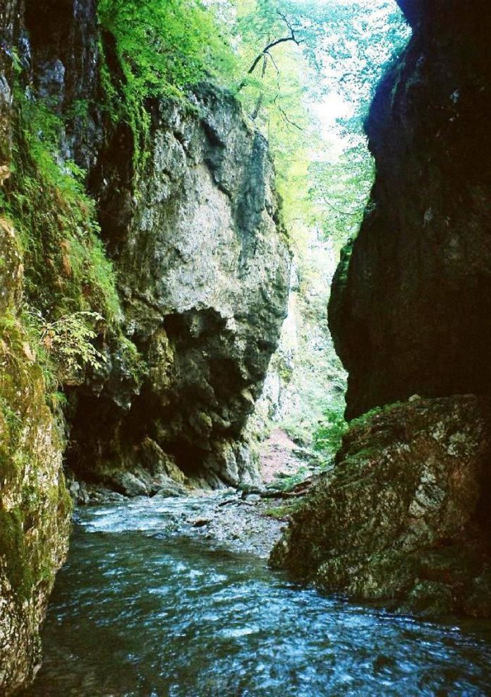 Natura și spiritul muntelui !