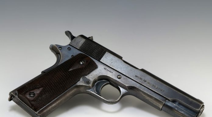 Condamnare pentru „pistolarul” din club