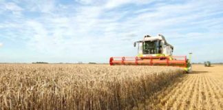 Agricultura pe înțelesul tuturor – Graficul lucrărilor agricole în luna august