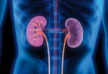 Analize gratuite pentru diagnosticarea bolii cronice de rinichi