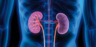 Analize gratuite pentru diagnosticarea bolii cronice de rinichi