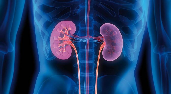 Analize gratuite pentru diagnosticarea bolii cronice de rinichi