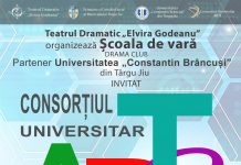 Școală de Vară, la teatrul din Târgu Jiu