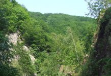 STS: Sute de apeluri la 112 de la cei aflați în vacanță