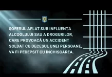 Campania „Când drogurile și alcoolul preiau volanul, se închide drumul libertății!”