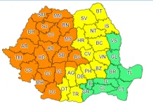 Cod portocaliu de vijelii