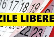 Săptămâna de lucru de 4 zile, în teste