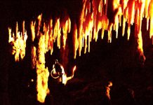 Peștera Muierilor în topul celor mai vizitate obiective turistice din județul nostru