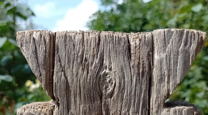 Gazeta Gorjului – Invitație la… Muzeu