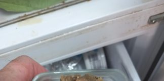 Nereguli grave în localurile de alimentație publică