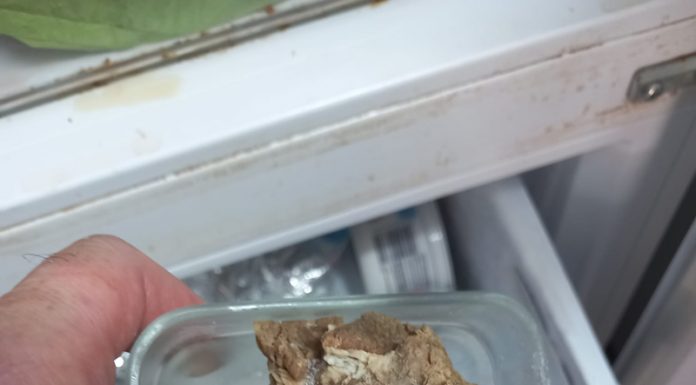 Nereguli grave în localurile de alimentație publică