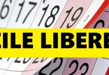 Ce zile libere vor avea angajații de la stat și cei din privat!
