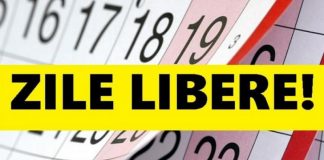 Ce zile libere vor avea angajații de la stat și cei din privat!