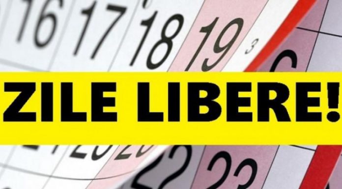 Ce zile libere vor avea angajații de la stat și cei din privat!