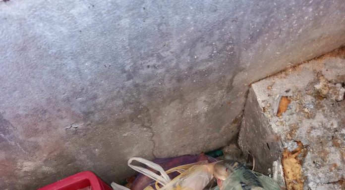 CJPC Gorj: Unele piscine sunt un pericol, mai ales pentru copii