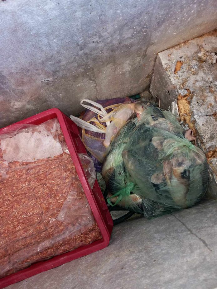 CJPC Gorj: Unele piscine sunt un pericol, mai ales pentru copii