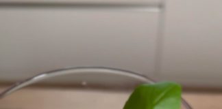 Rețeta săptămânii – Fabiskitchen: Smoothie cu banane și zmeură