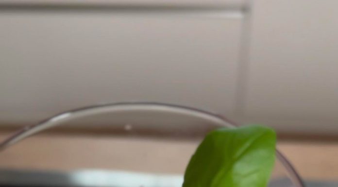 Rețeta săptămânii – Fabiskitchen: Smoothie cu banane și zmeură